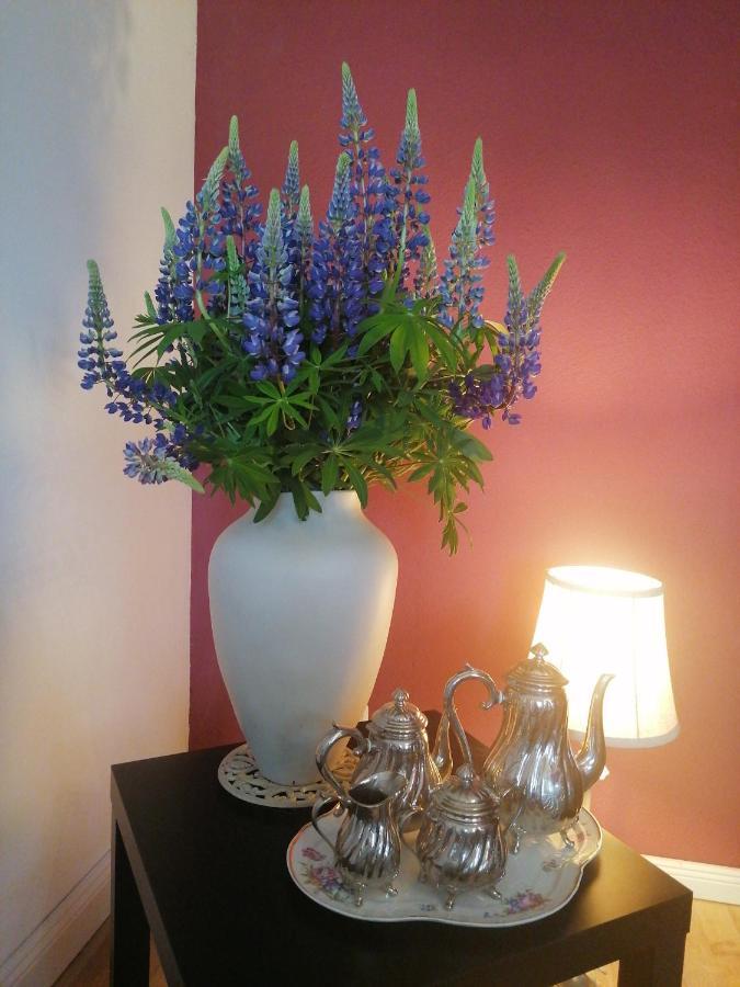 Bed&Breakfast Wagner "Im Alten Pfarrhaus" 诺伊鲁平 外观 照片